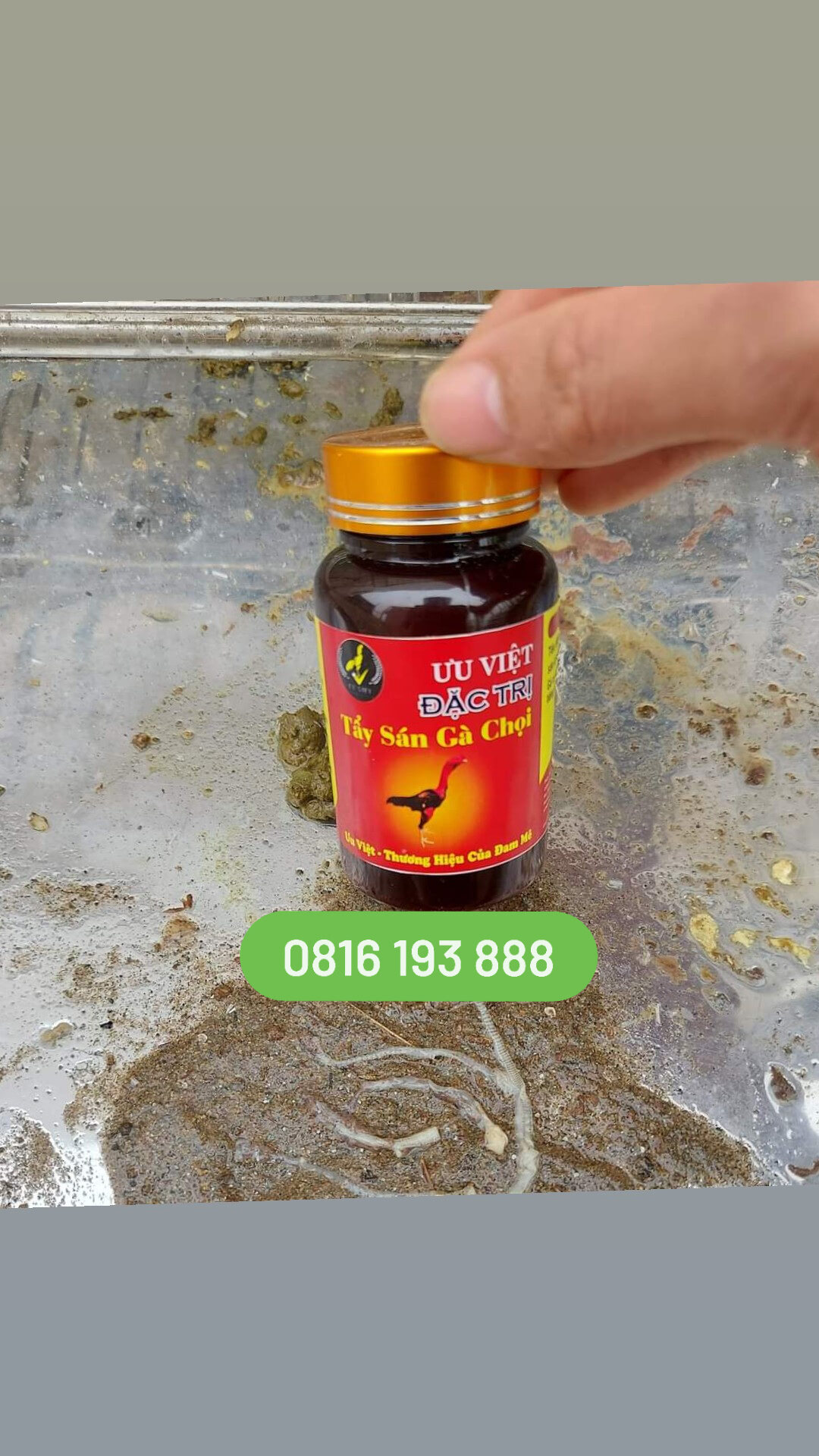 Tẩy giun sán gà đá ưu việt