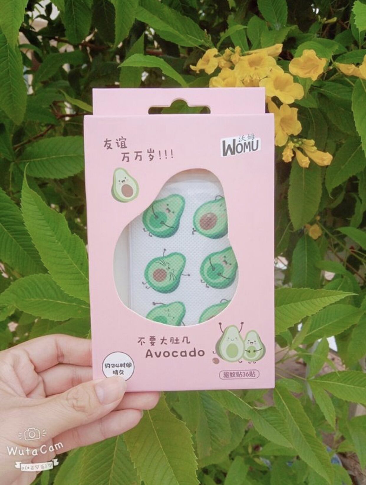 Miếng dán chống muỗi đốt hình trái bơ cute dễ thương