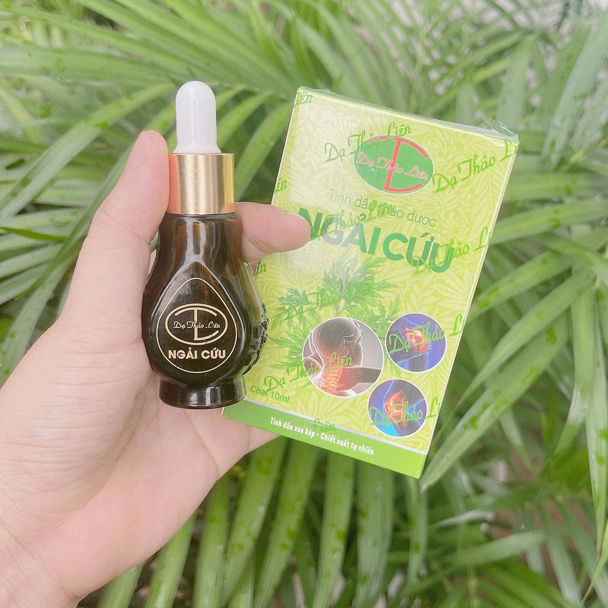 Tinh dầu ngải cứu Dạ Thảo Liên 10ml