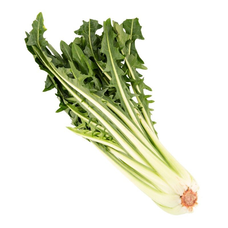 Hạt Giống Bồ Công Anh Chicory Xanh (543) 5gram