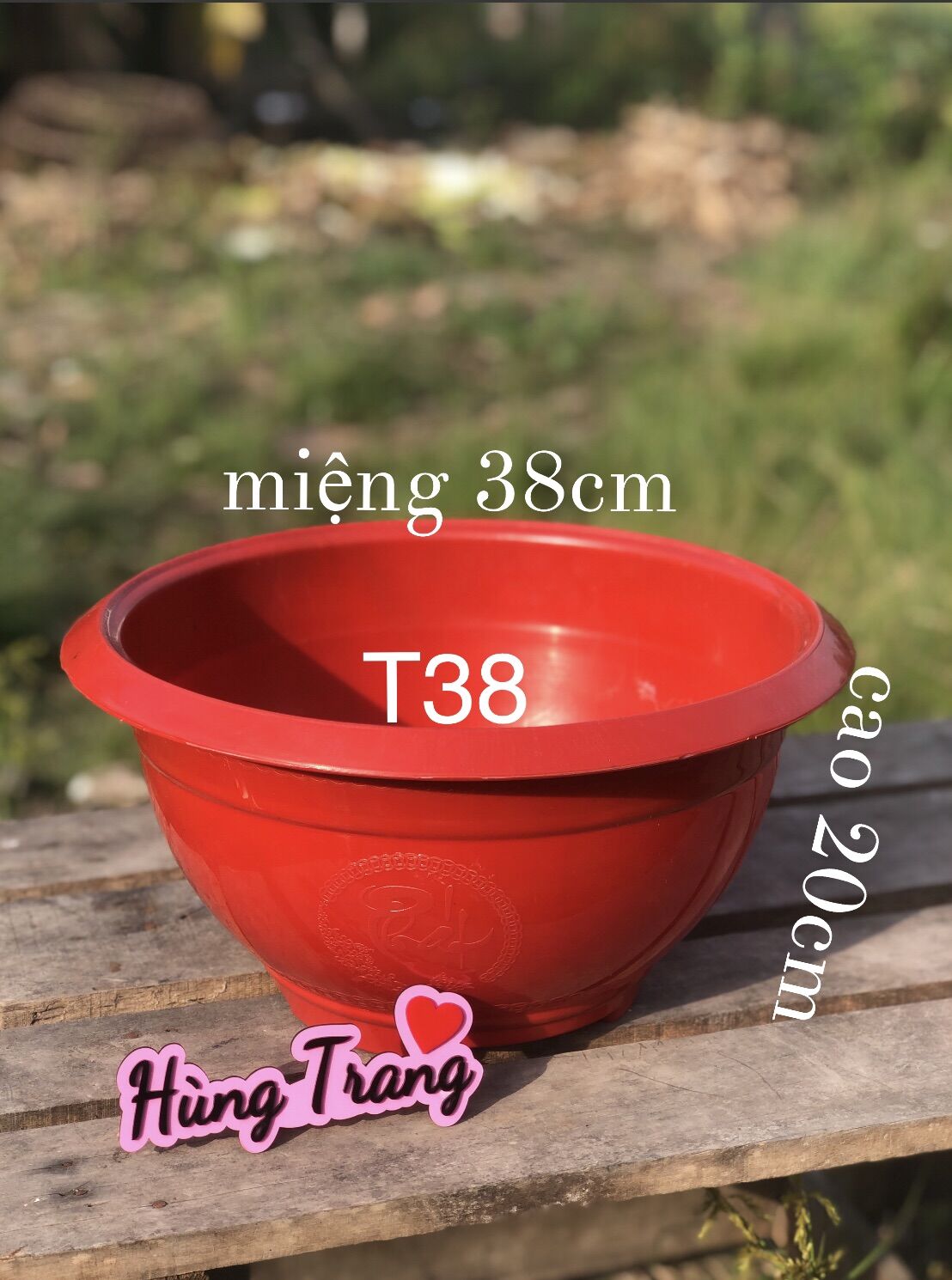 Chậu T38 truyền thống Đỏ combo 10 chậu