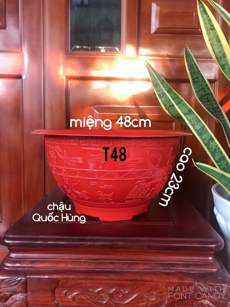 Combo 5 chậu trồng cây T48 đỏ