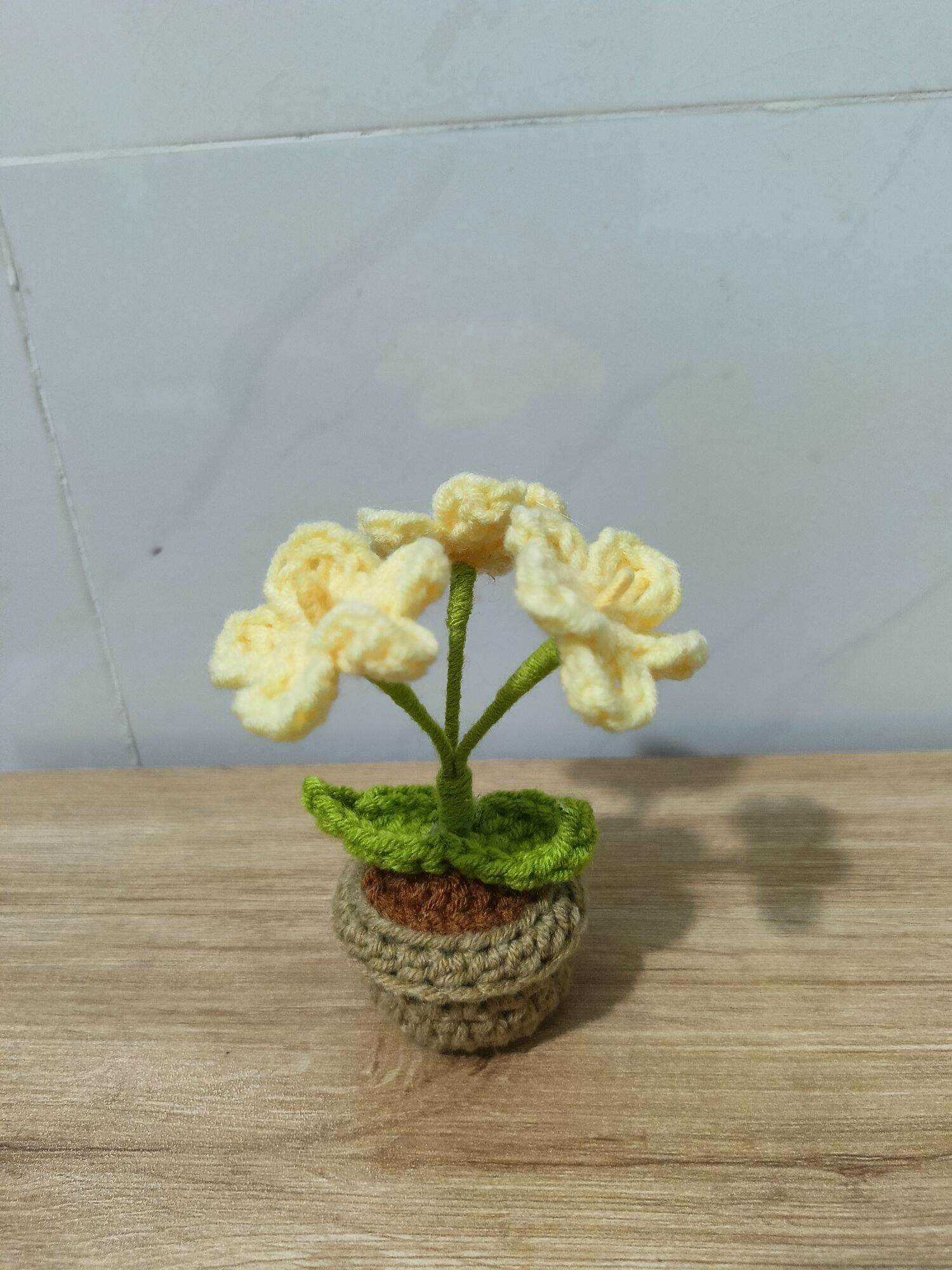 Chậu hoa mini xinh xắn