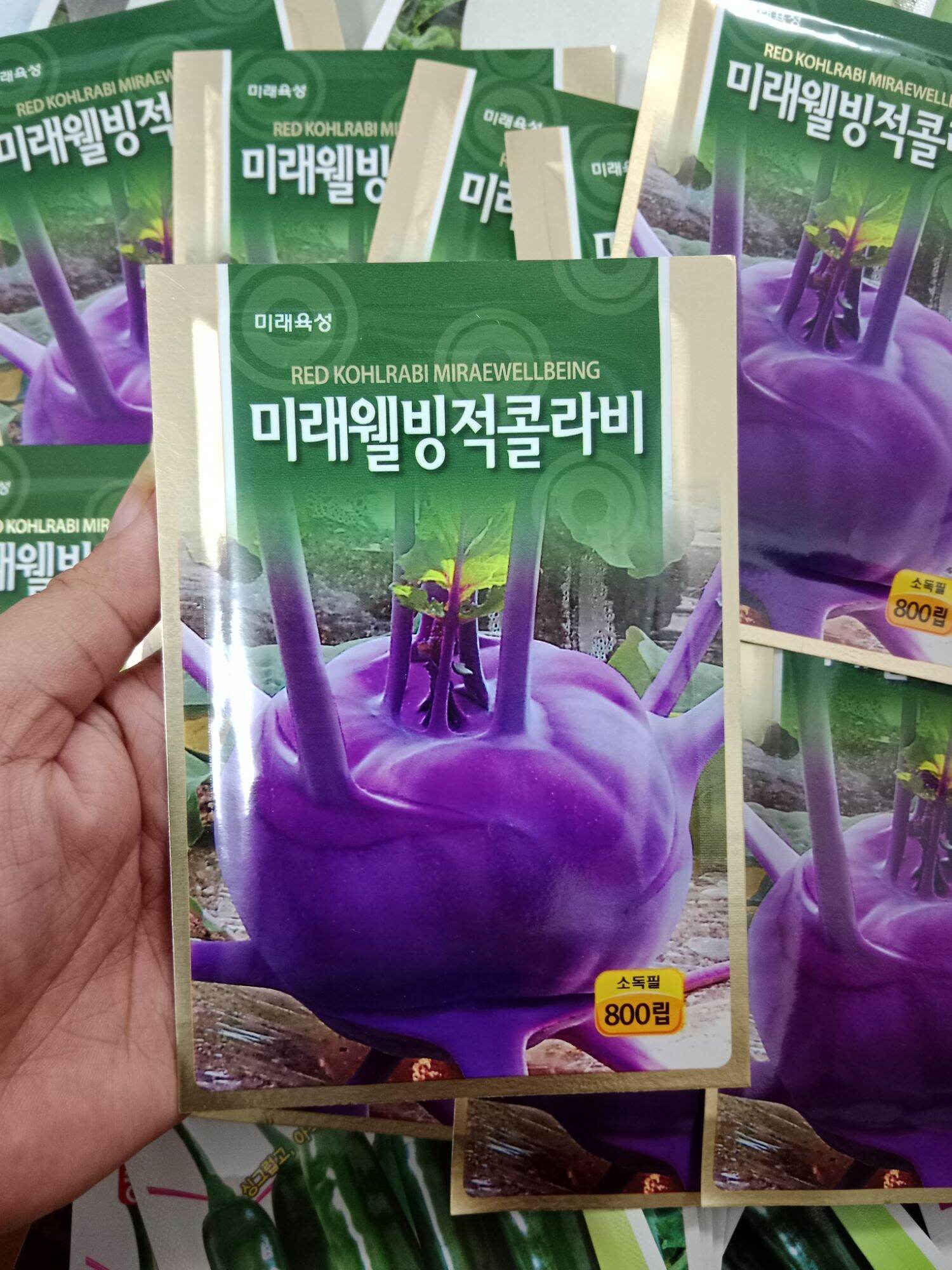 1000hạt- hạt giống su hào tím hàn quốc zin