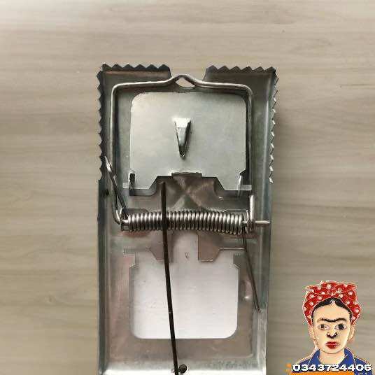 Bẫy đập chêt chuột