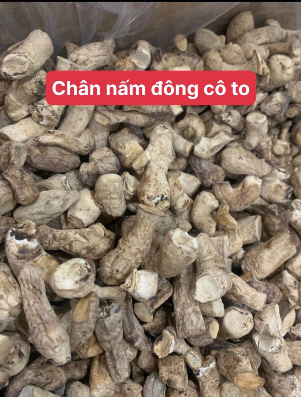 chân nấm đông cô
