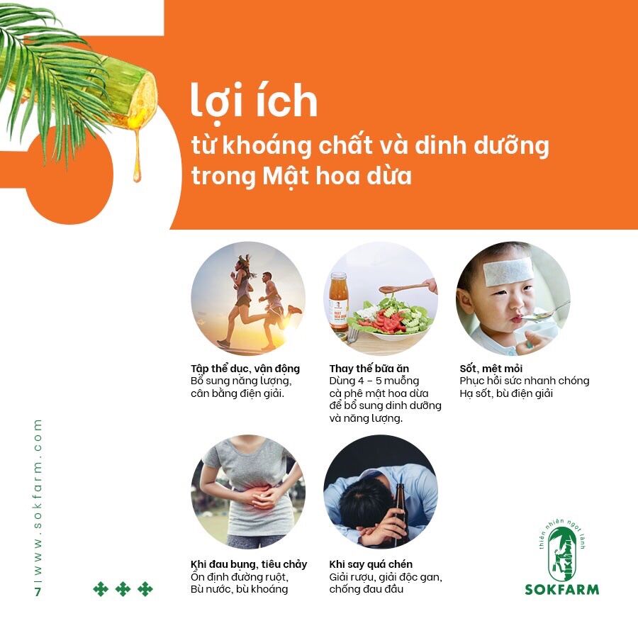 Mật Hoa Dừa Sokfarm - Đặc Sản Trà Vinh (Chai 65gr)