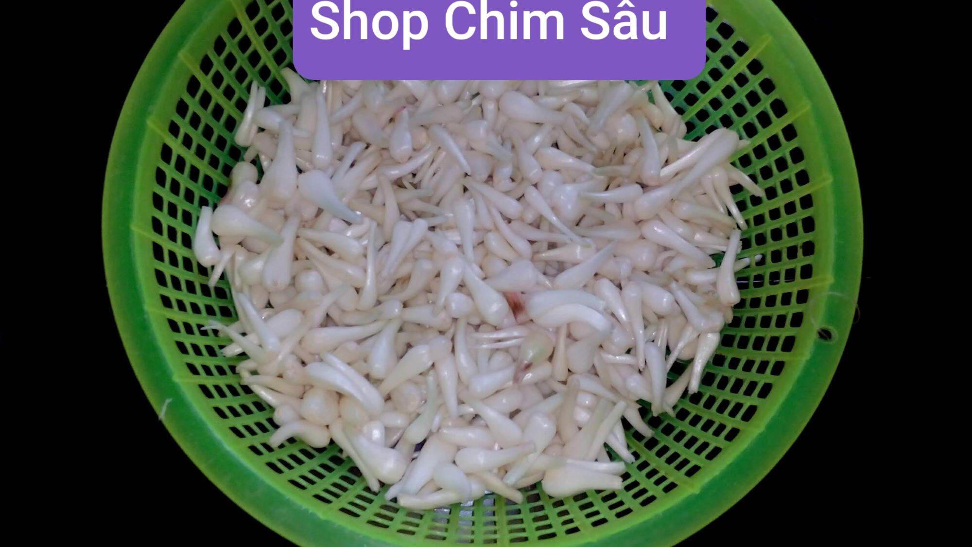 Kiệu ngâm đường 800gam