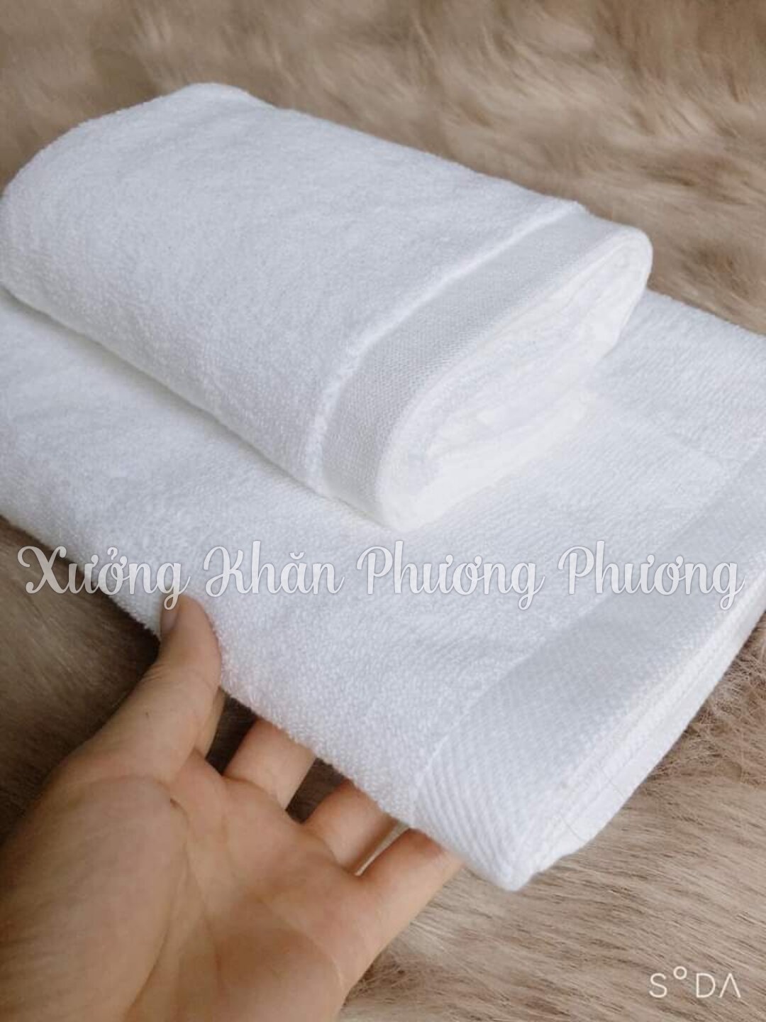 Khăn tắm Cotton Khách sạn 65x135, Khăn 100% cotton thấm hút tốt