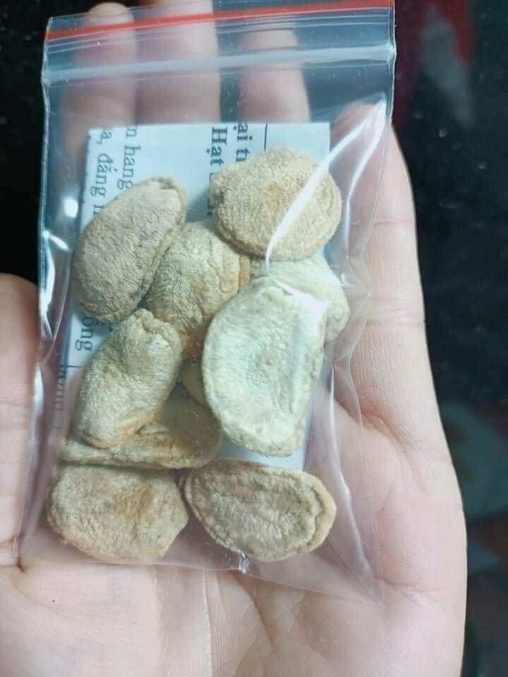 Túi 10 hạt sang hạt sành dân tộc chữa dạ dày