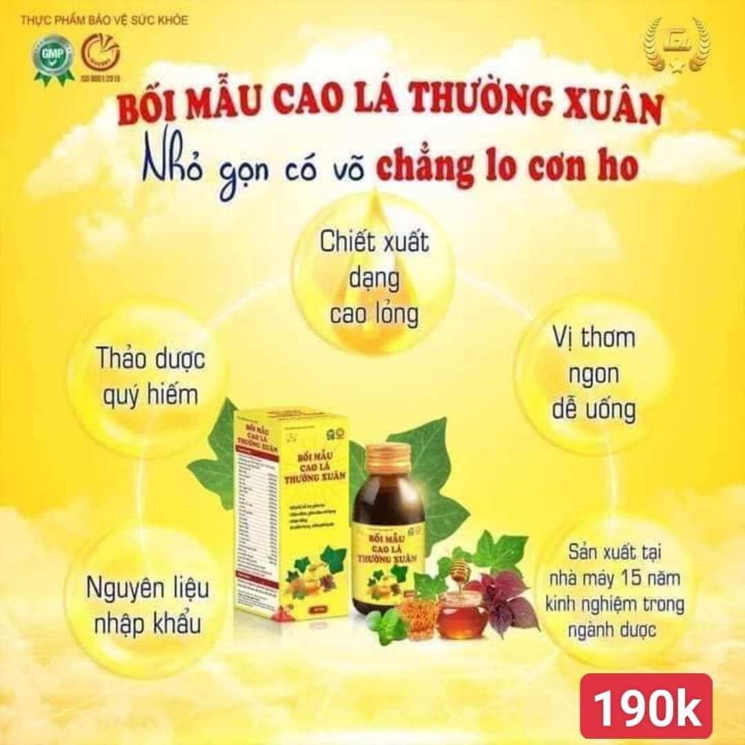 Bối mẫu cao lá thường xuân
