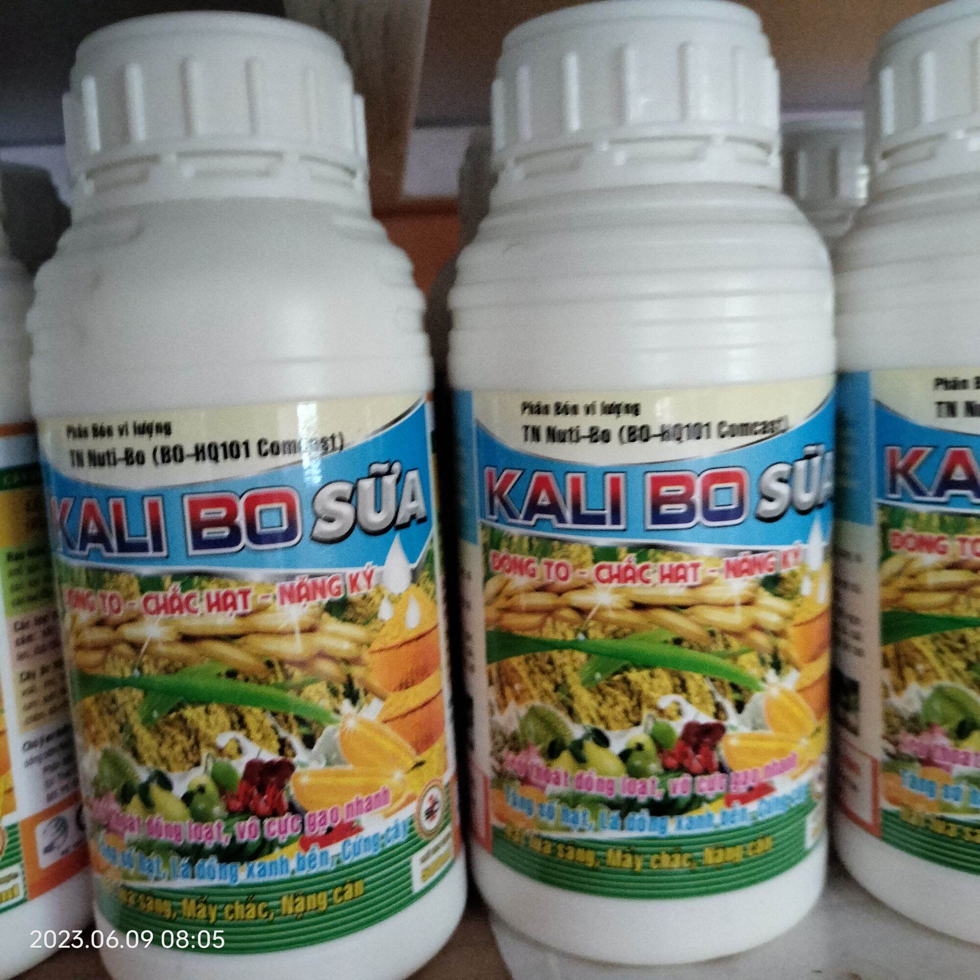 KALI BO SỮA