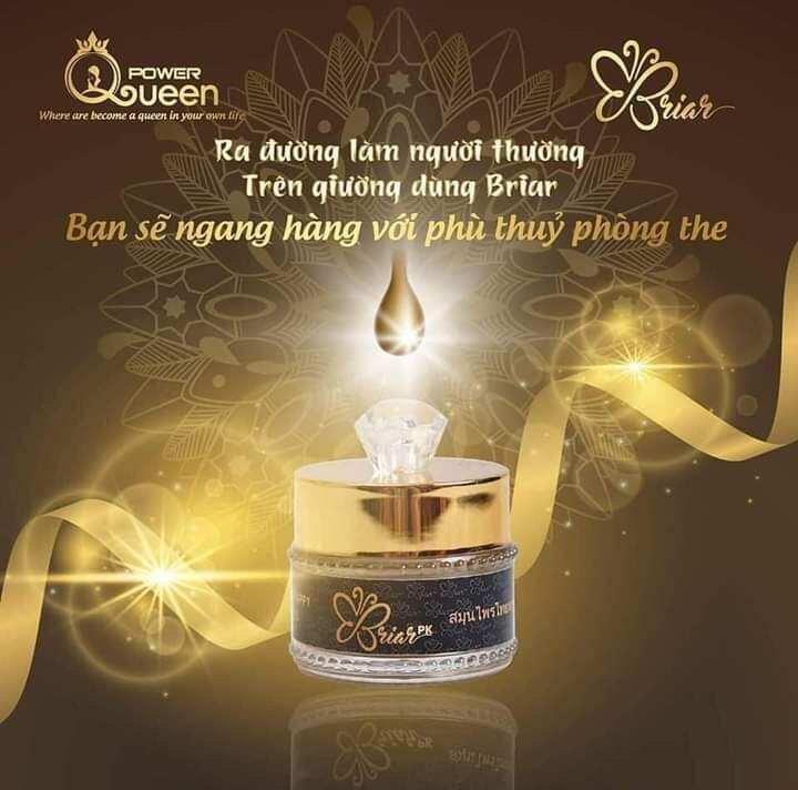 Viên đặt thảo mộc Briar p.k (tầm xuân)
