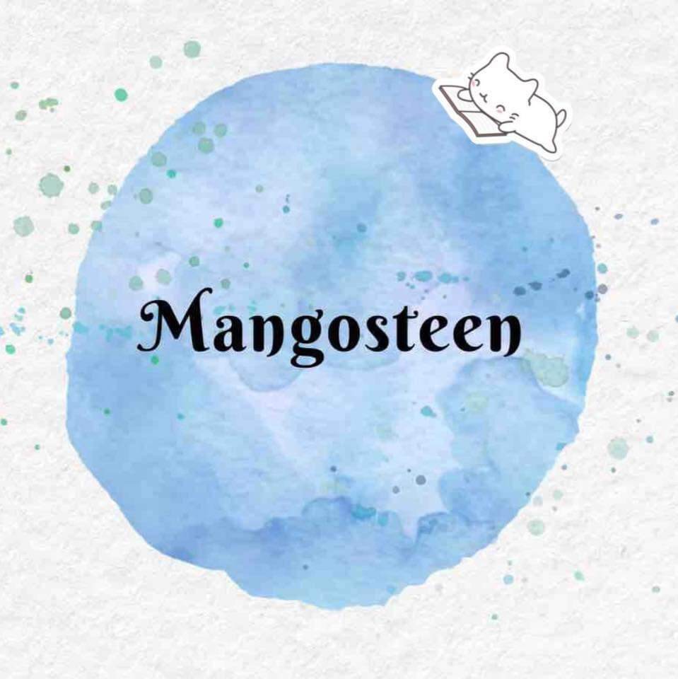 MANGOSTEEN STORE Shop Bán Hàng Chính Hãng Giá Tốt Lazada.vn