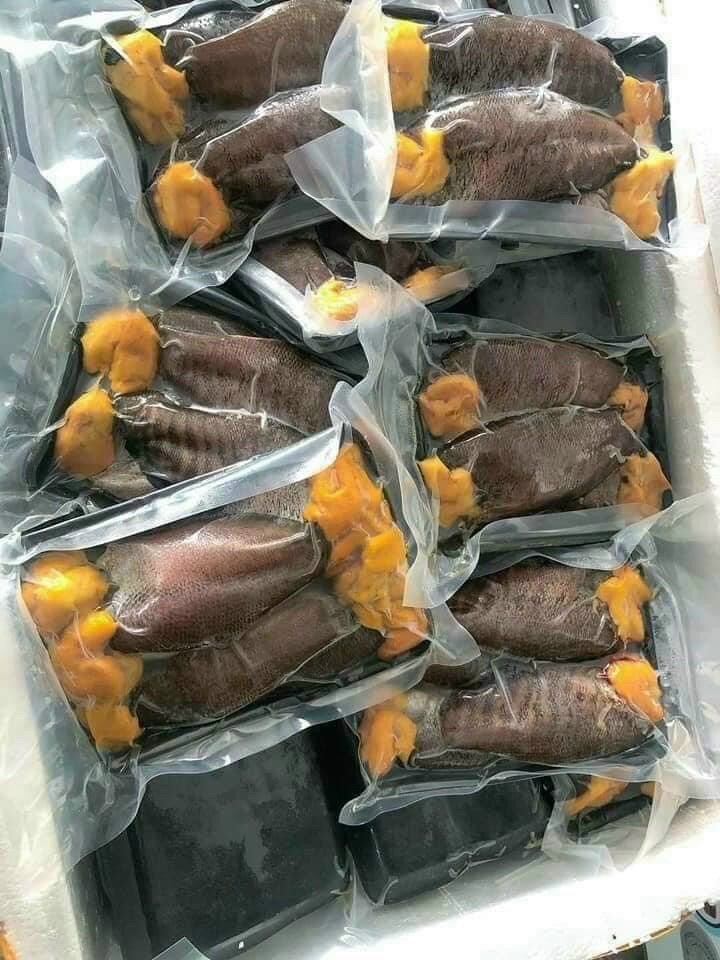 0,5kg CÁ SẶC TRỨNG một nắng (hỏa tốc 2h tphcm)