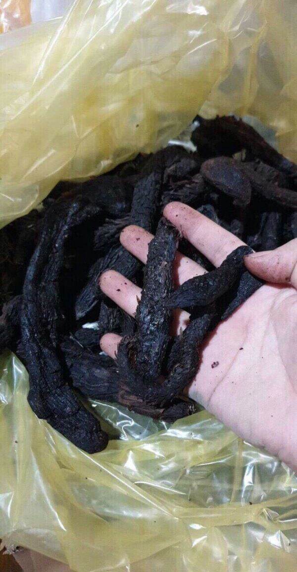 500g nhục thung dung