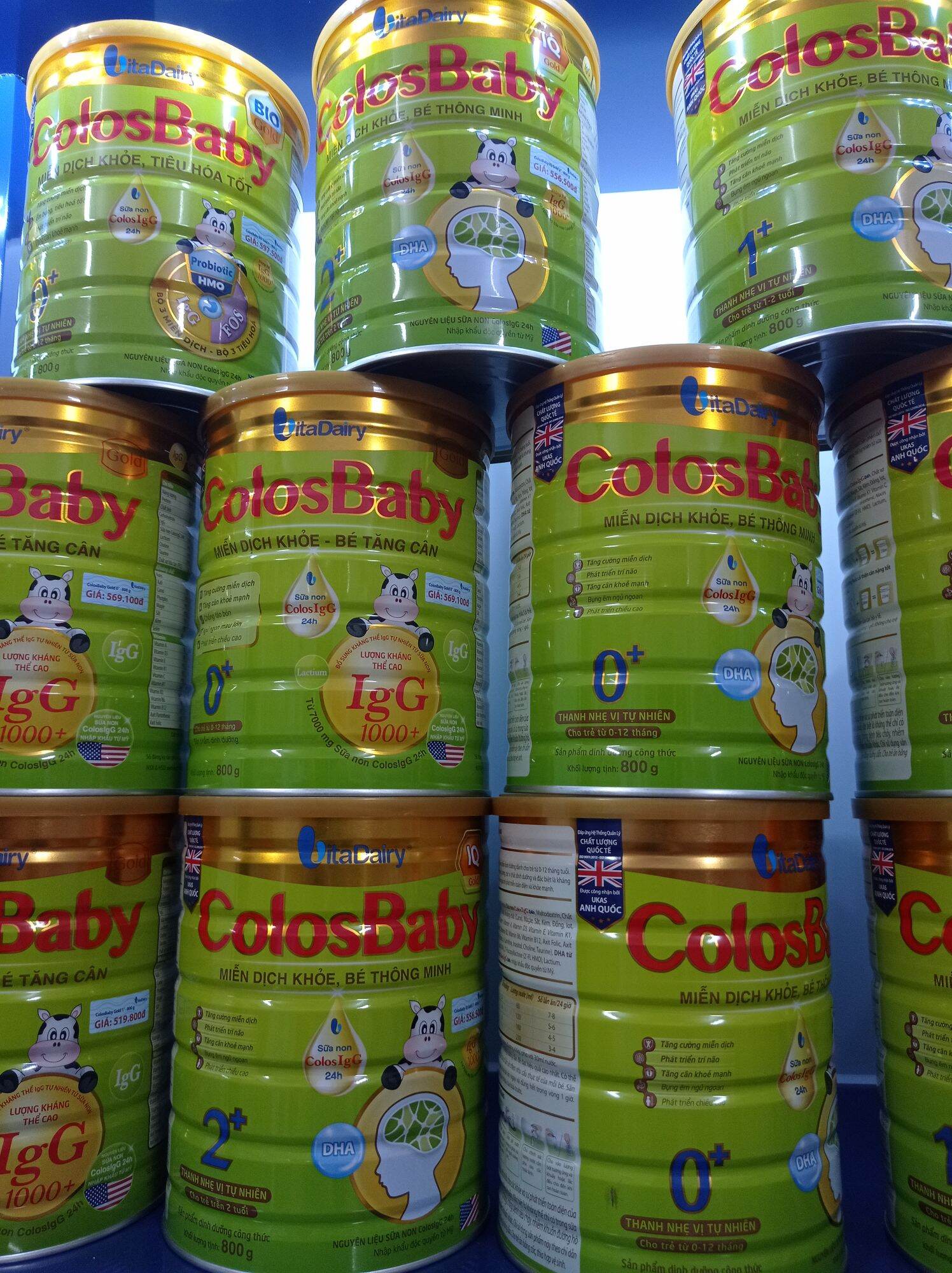 Colosbaby gold 1+