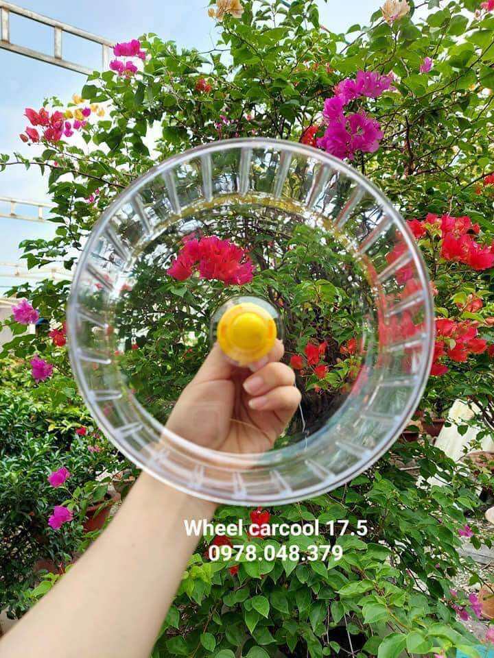 WHEEL CARCOOL TRONG SUỐT cho hamster vận động, wheel gắn lồng xinh xẻo