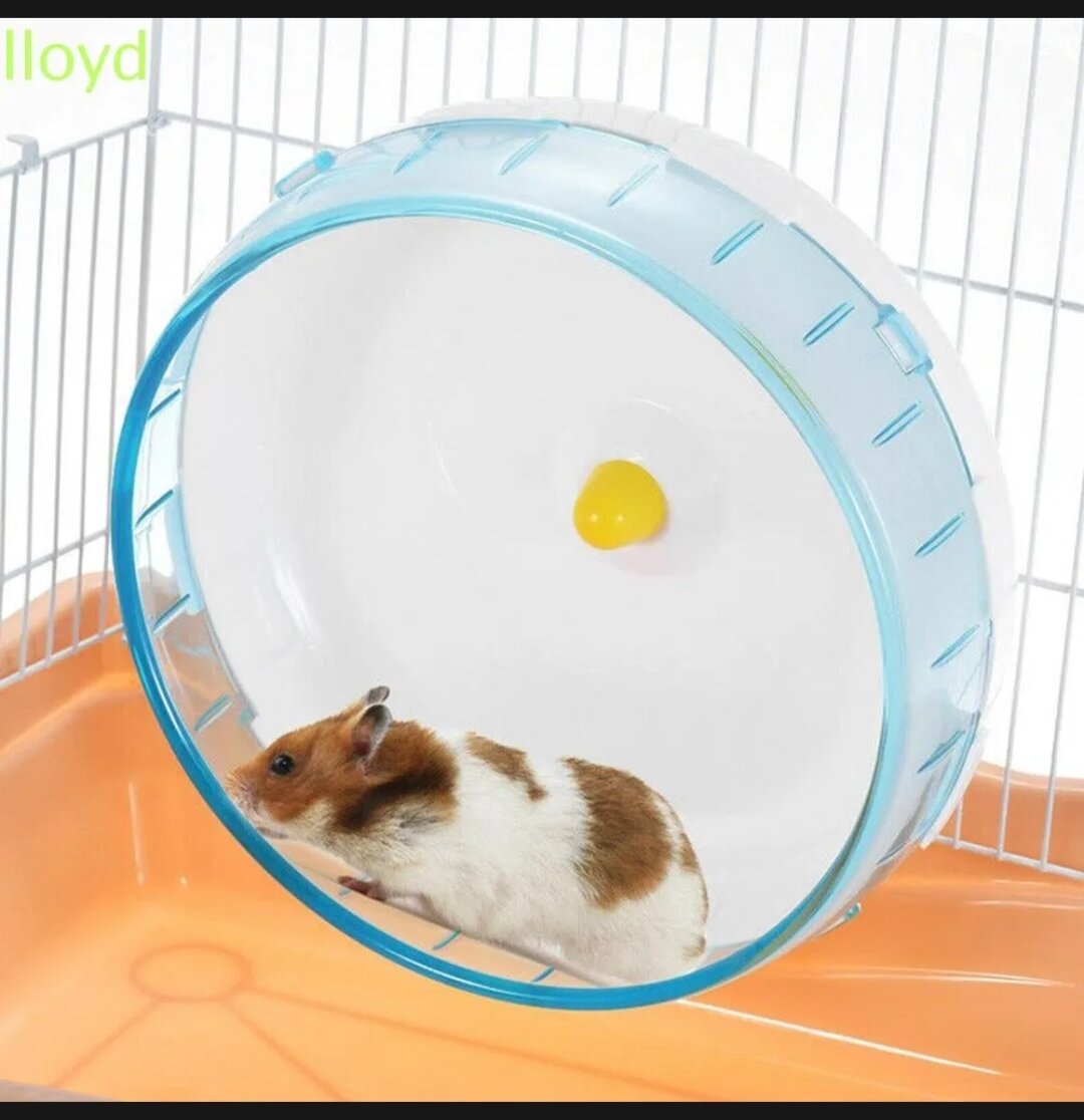 Whell 17.5 cm cho hamster, thú cưng...