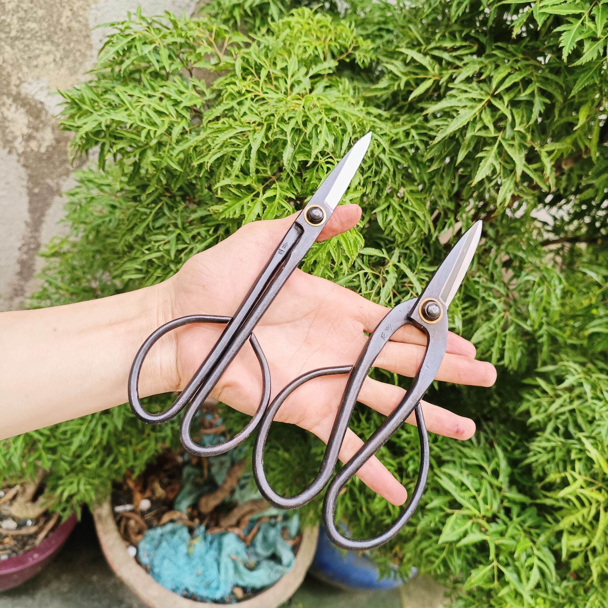 kéo tỉa cành tỉa dăm bonsai