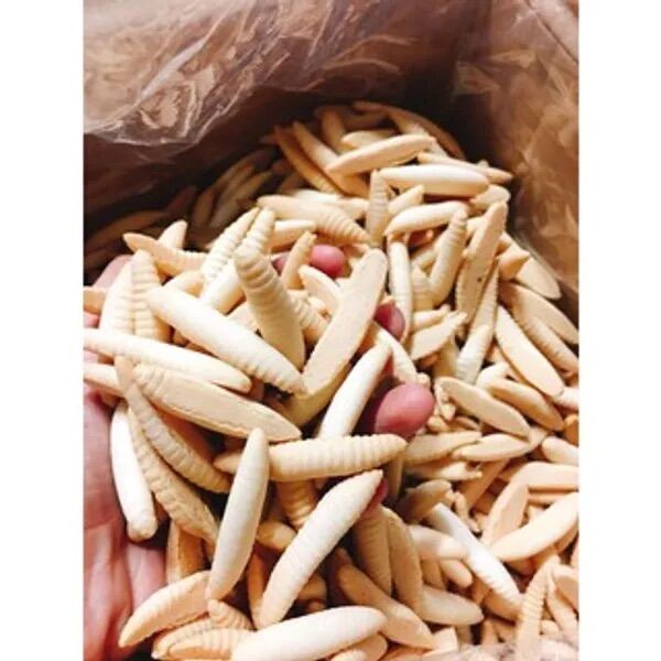 1kg bánh đuông dừa Bến Tre thơm ngon