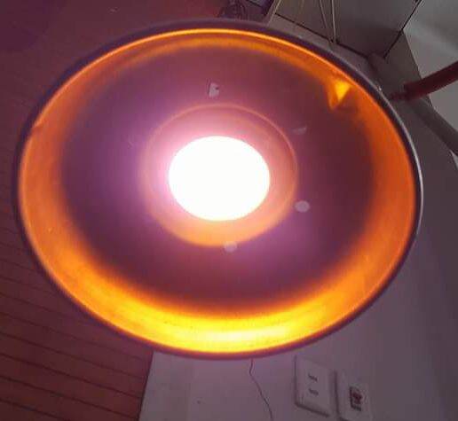 Đèn sưởi biogas loại nhỏ 750w