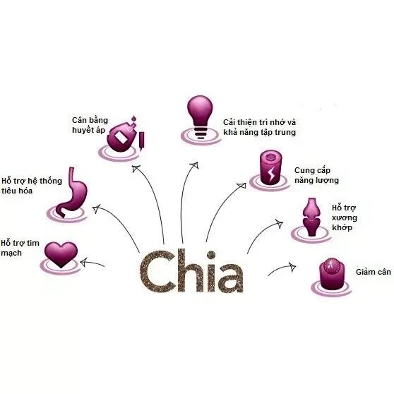 100gr Hạt Chia Seeds Úc Organic