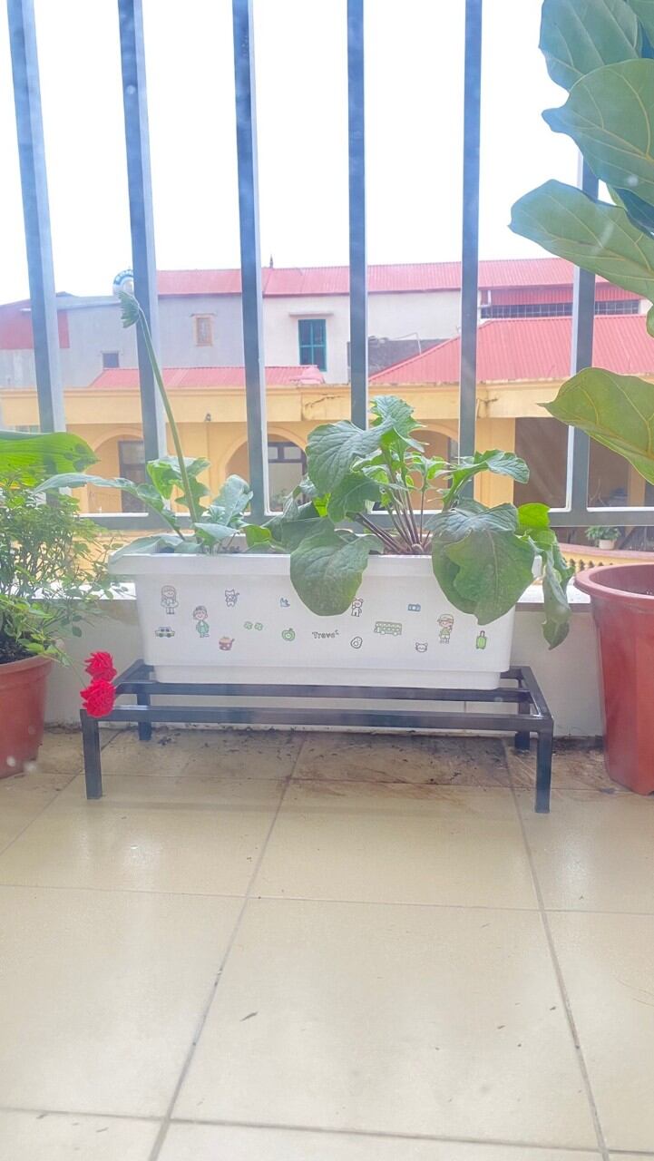 Kệ kê chậu hoa cây cảnh