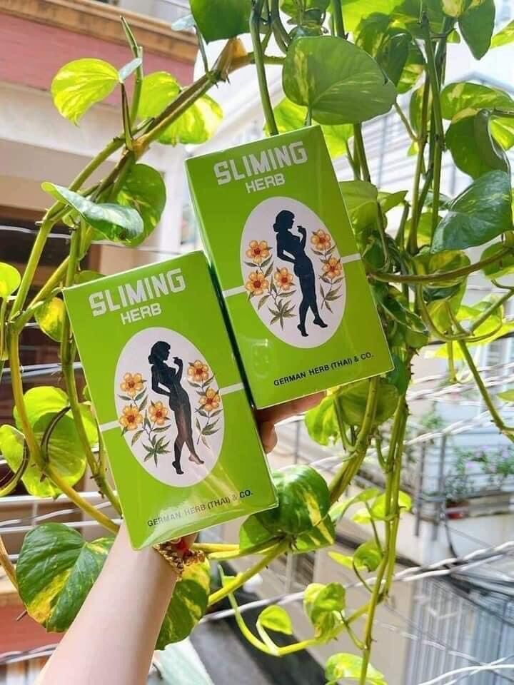 Trà gc thải độc Sliming Herb Thái Lan hộp 50 túi