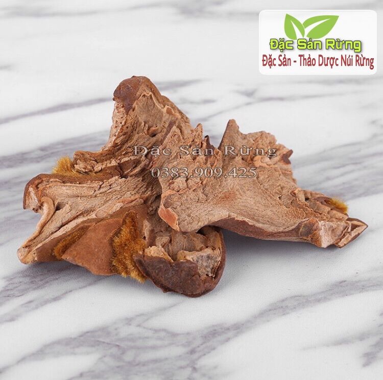 [ 500gr ]  Cẩu Tích Khô ( Lông culi ) Thái Lát - Đặc sản rừng
