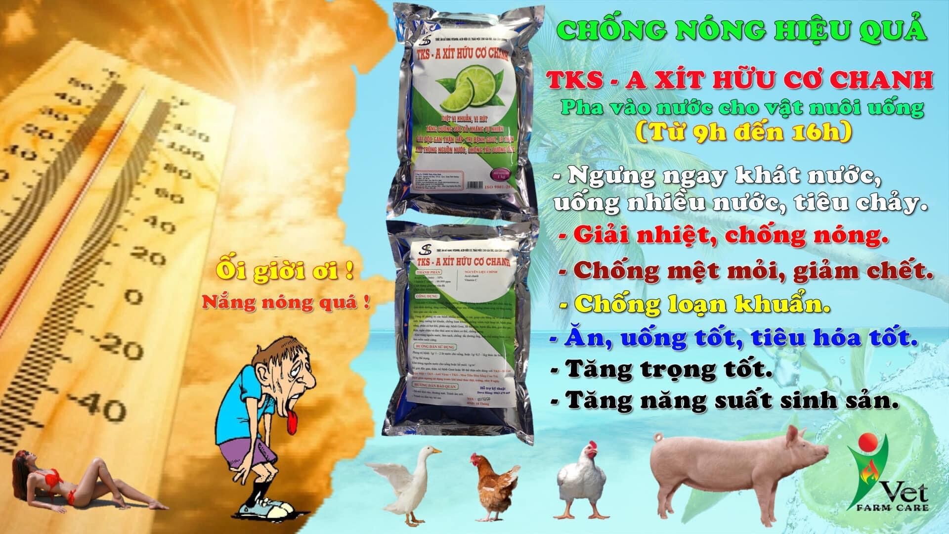 TKS- AXIT HỮU CƠ CHANH GÓI 100Gr