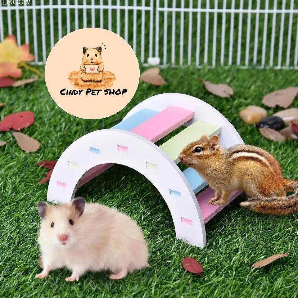 Cầu thang gỗ nhựa cầu vồng đồ chơi cho Hamster