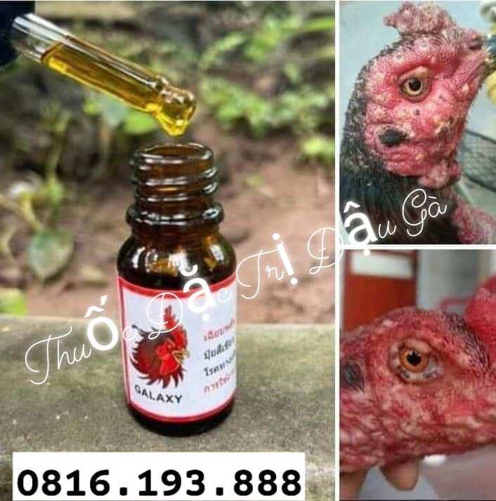 💊ĐẶ C TR Ị BỆNH ĐẬU GÀ - TỤ HUYẾT TRÙNG
👉tr ị đậu gà, gà bị viêm da có mủ
👉nhiễm trùng đường hô hấp, nhiễm khuẩn đường tiêu hoá, nhiễm khuẩn máu
👉t rị tụ huyết trùng biểu hiện: gà sốt cao, ủ rũ bỏ ăn,khó thở