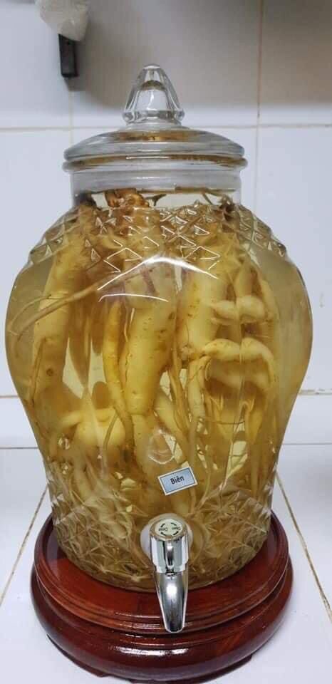 Dược liệu