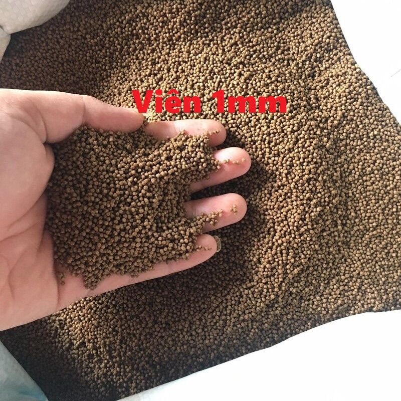 1kg Cám Cá Kiểng Đạm Cao Cho Cá 7Màu , Beta , Chép Koi. (Viên 0.5mm - 1mm - 2mm)