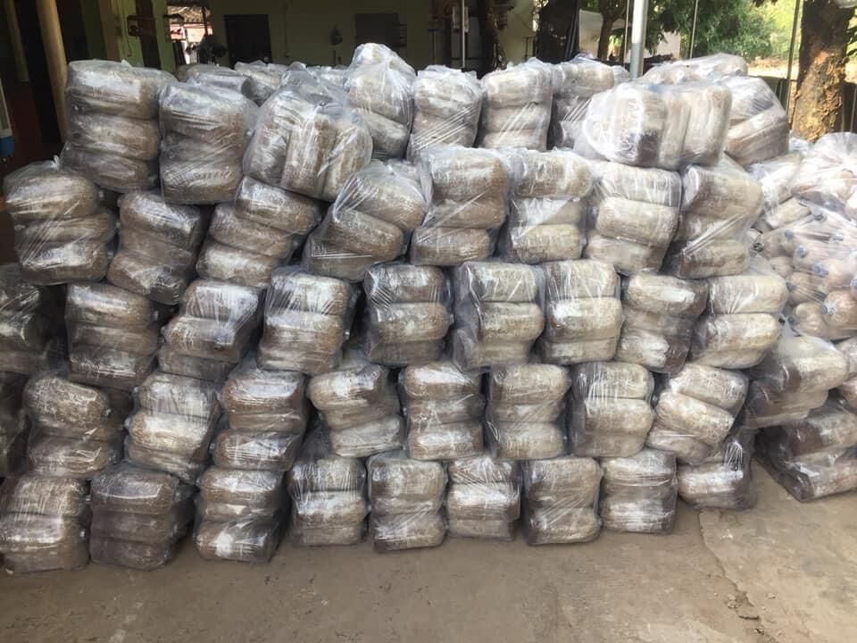 Phôi nấm sò