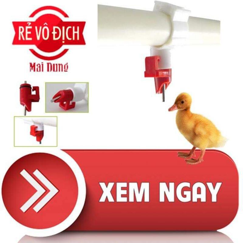 10 núm uống tự động cho vịt ngan