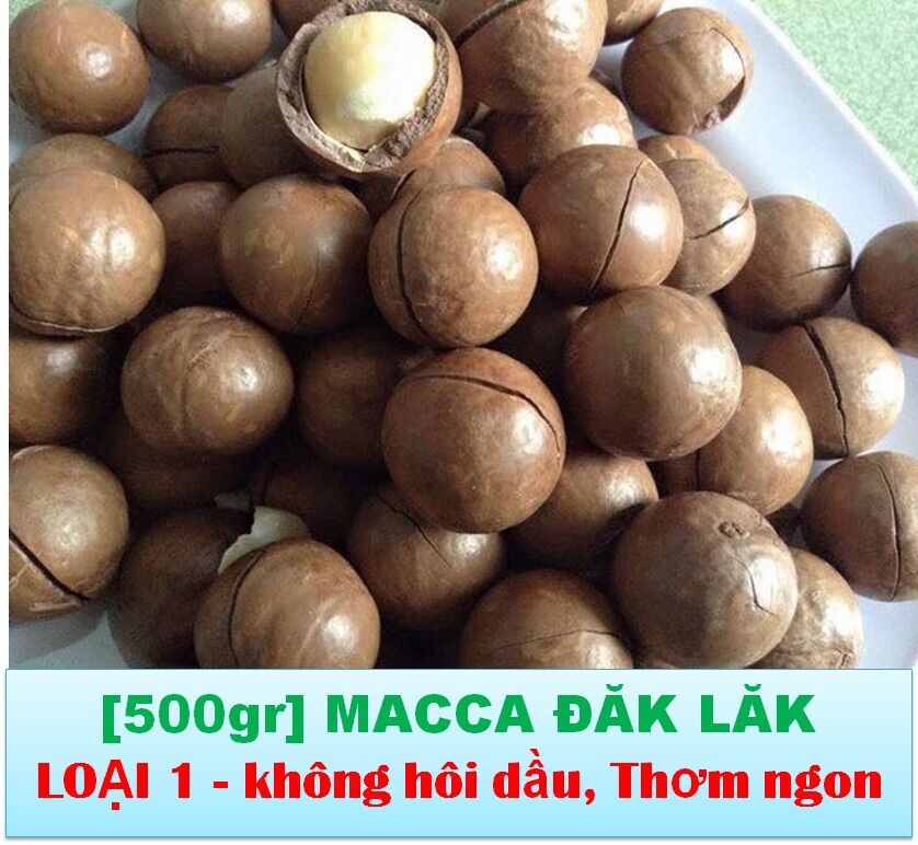 500gram Hạt MACCA ĐĂK LĂK LOẠI NGON
