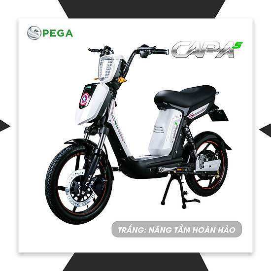 XE ĐẠP ĐIỆN PEGA CAP AS
