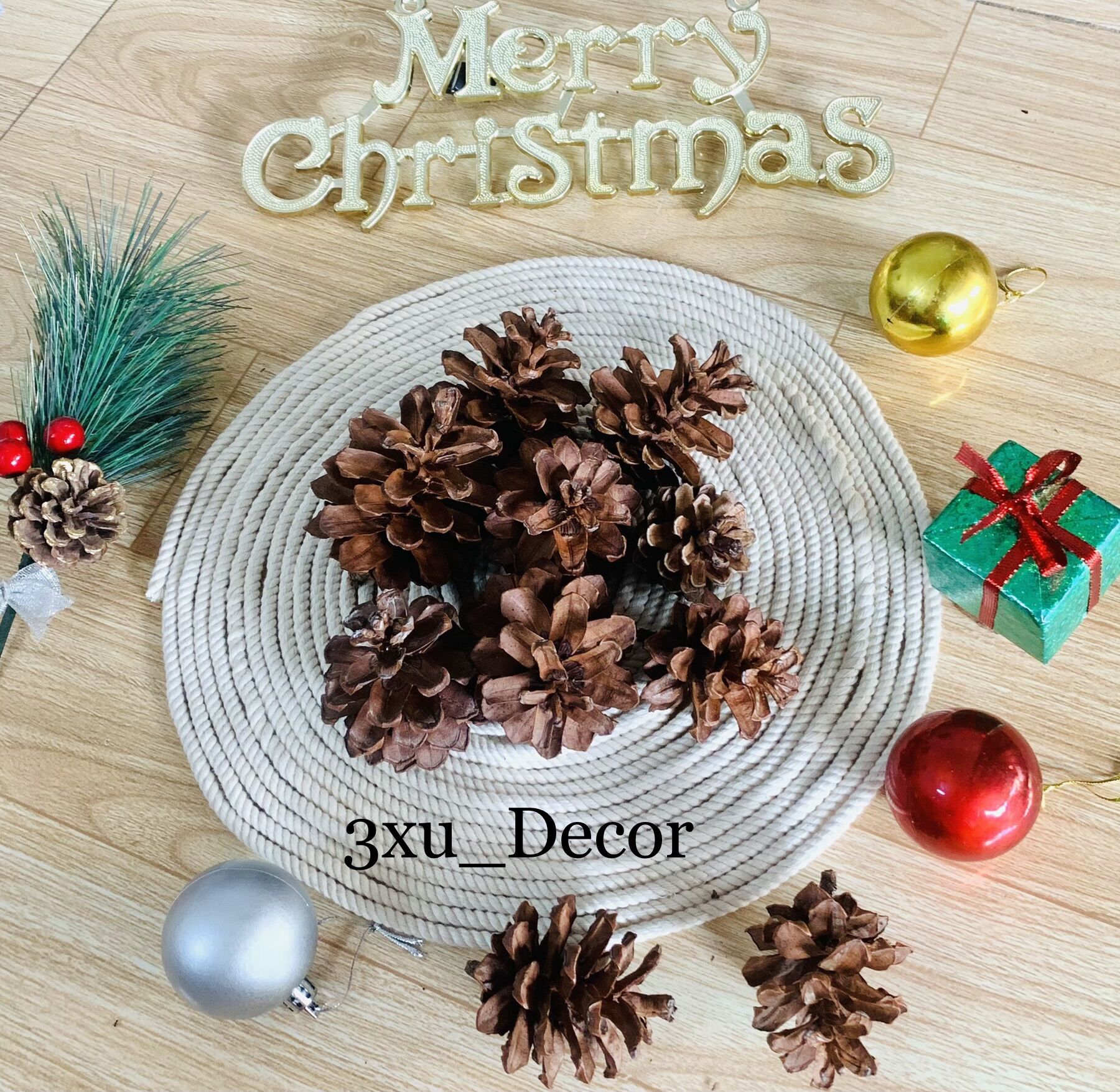 Sét 10 Quả thông size nhỏ trang trí, phụ kiện chụp ảnh sản phẩm, trái thông khô, hoa thông trang trí giáng sinh