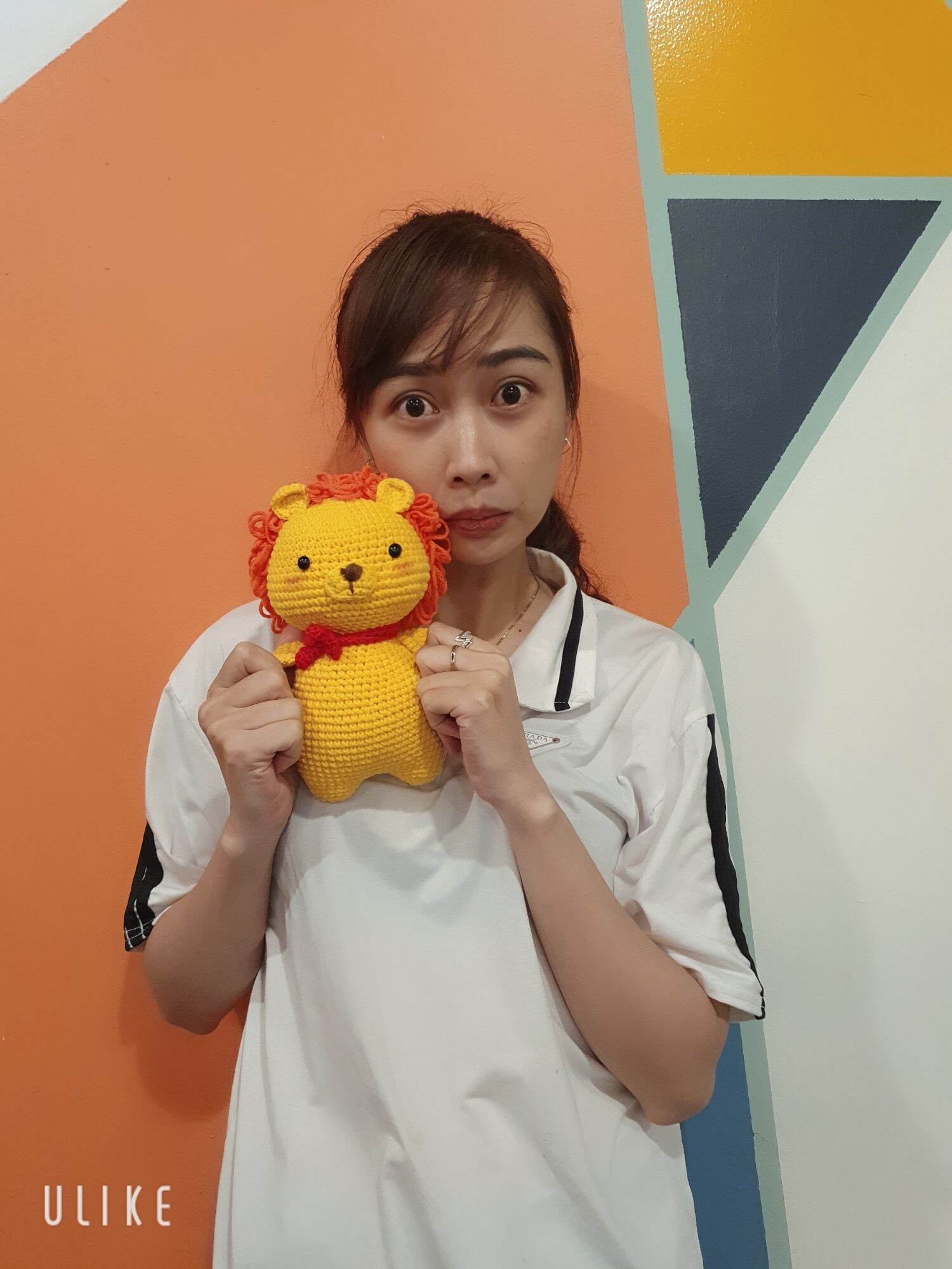 Sư tử móc len - Lion