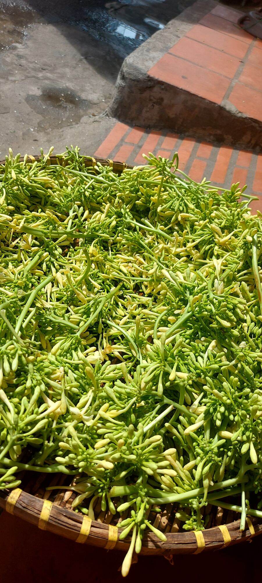 100gr hoa đu đủ đực phơi khô