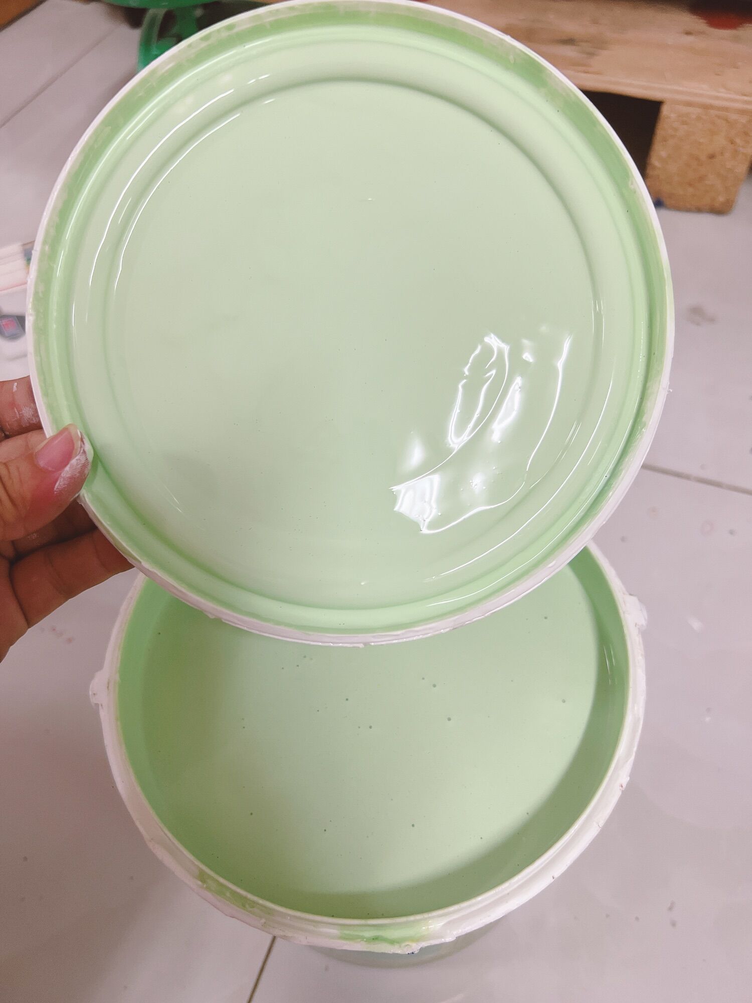 Combo xanh mong mơ 5kg 12-14mv nippon 43a-3p