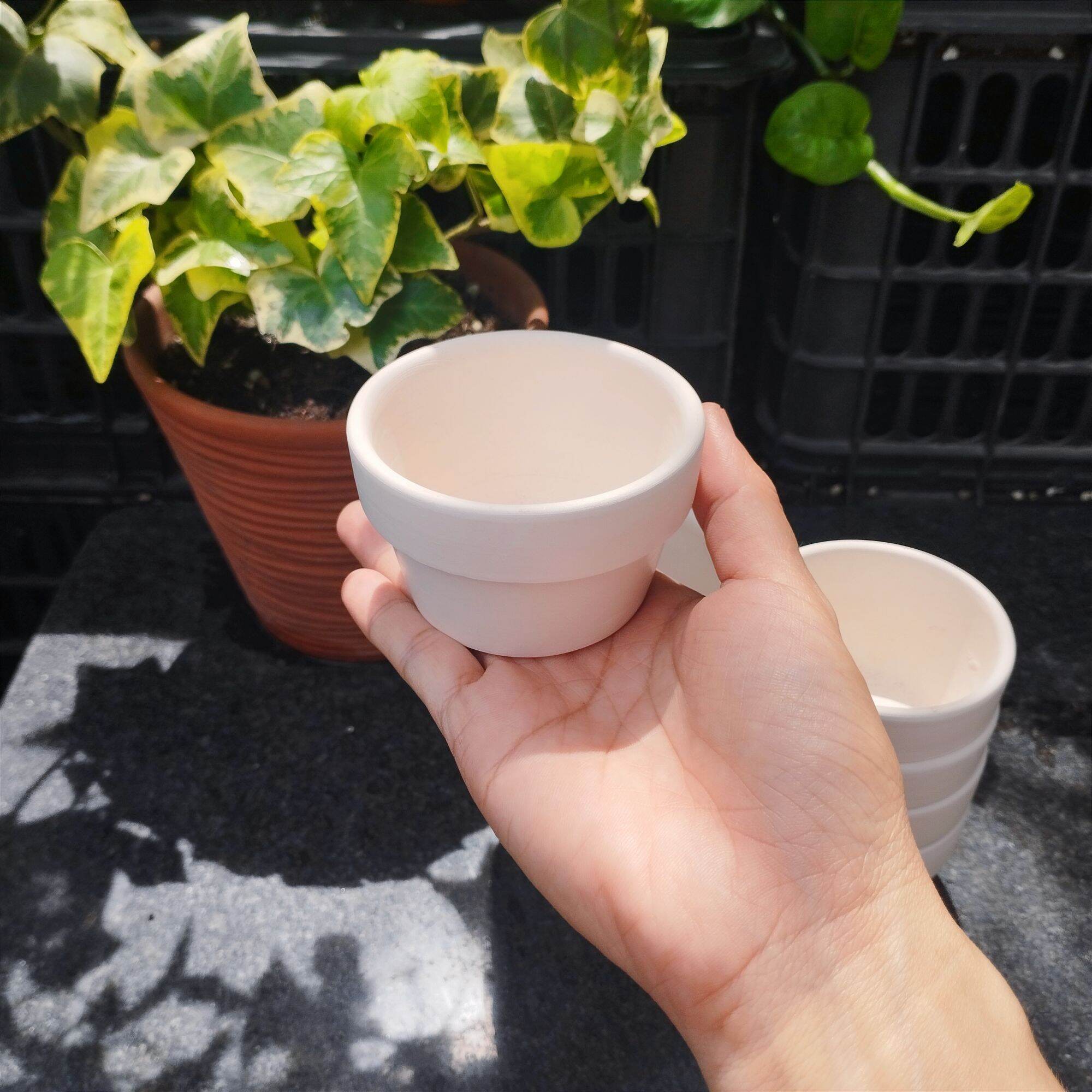 [Mẫu Mới Có Màu Trắng] Chậu Đất Nung Trồng Sen Đá 7x4 Cm