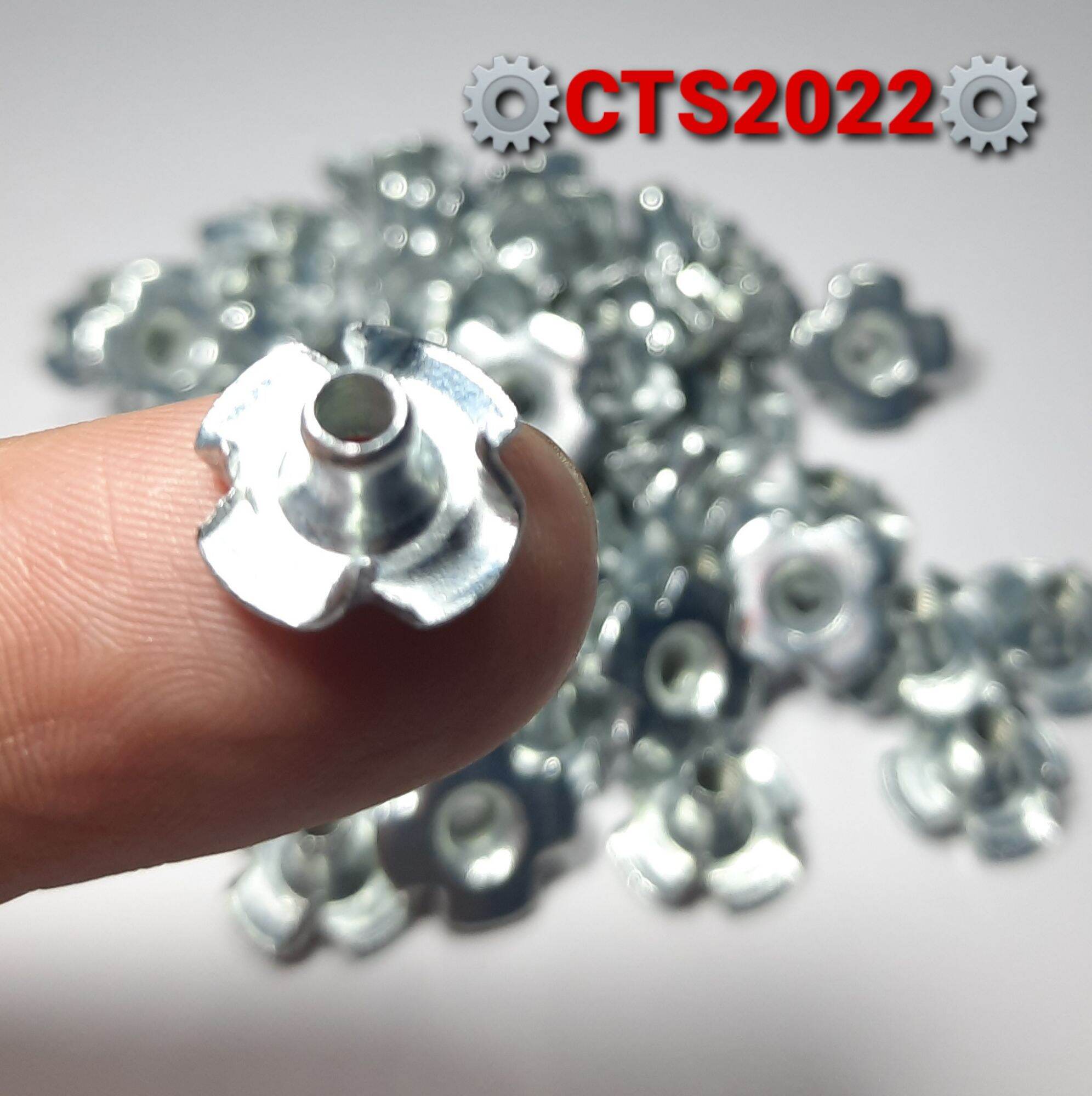 Set 5 Ốc cấy M3x6 chuyên dụng cho đồ gỗ