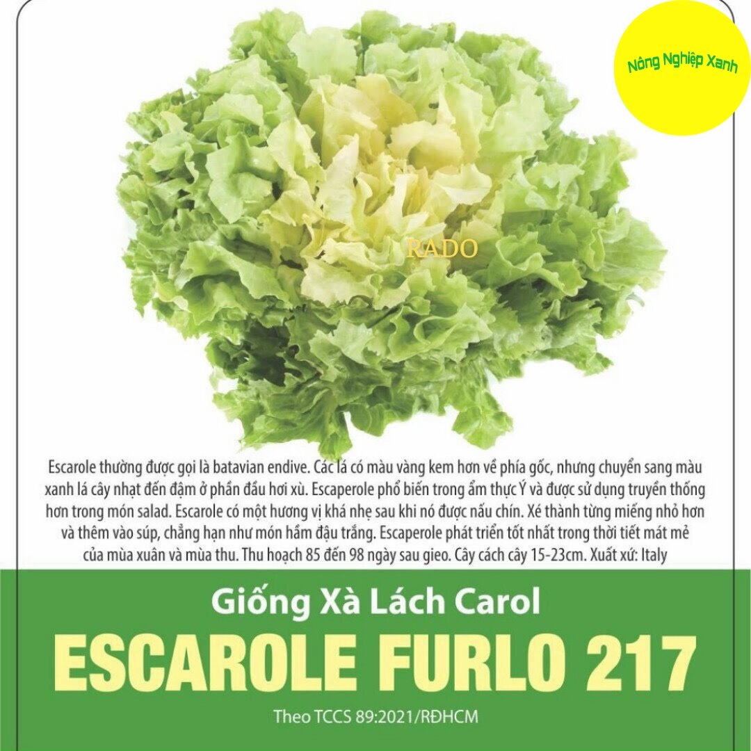 Hạt giống xà lách carol escarol furlo 217 gói 5gr