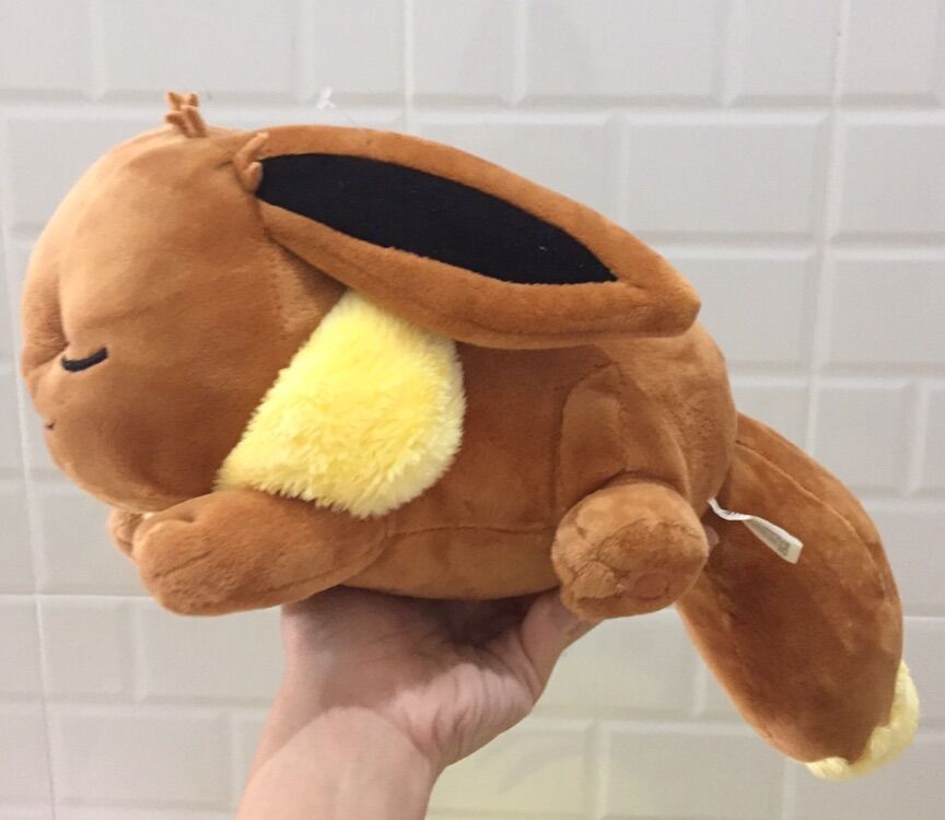 [HCM]Gấu bông pokemon eevee ngủ say