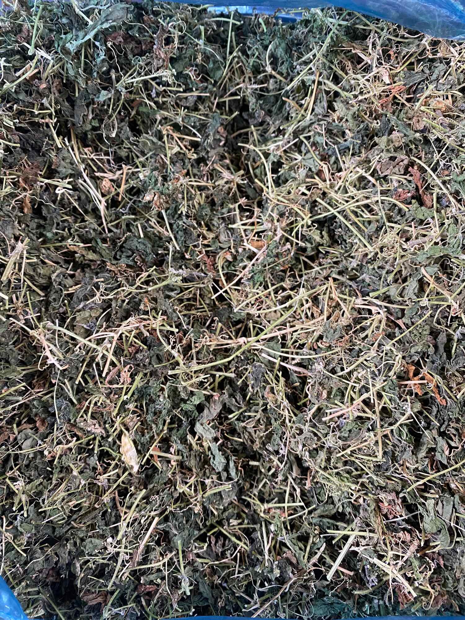 500g Trà Thảo Mộc Khổ Qua Rừng