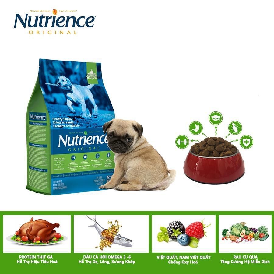 Nutrience cho cún con bao 500g