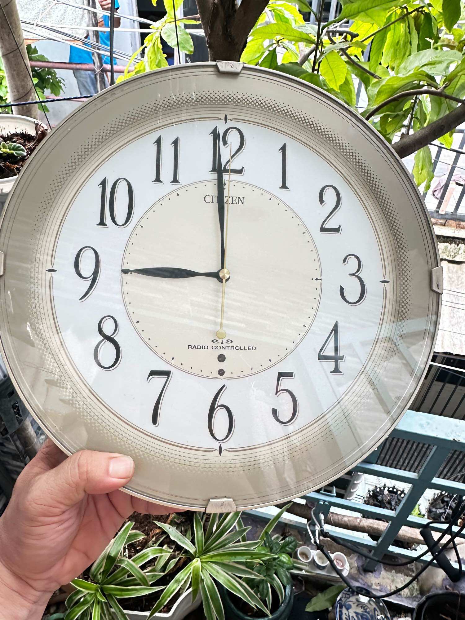 Đồng hồ treo tường citizen nội địa nhật
